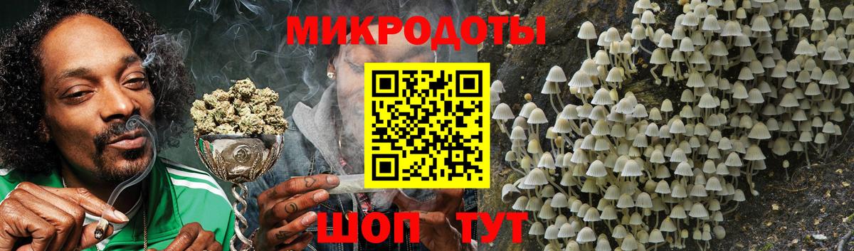 Ачхой-Мартан  хочу наркоту  Вход с VPN  Галлюциногенные грибы мухоморы 